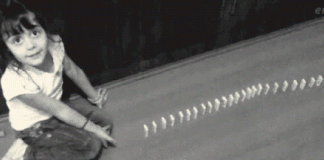 Cazın Doğuşu ve Kökenleri