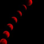 130056186_1681812101988609_8961153609495236286_o