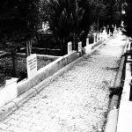 signal-2022-05-09-162313_019
