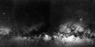 Rise and Shine Mr.Freeman!