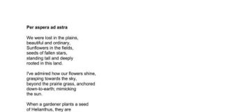 Per aspera ad astra (Gaileden yıldızlara)