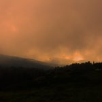 IMG_0252