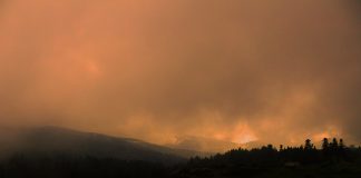 Dönencede Sayhalar: Temmuz – 2023