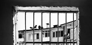 Dönencede Sayhalar: Eylül – 2023