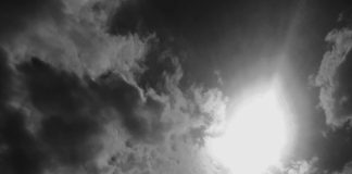 Dönencede Sayhalar: Ağustos – 2024