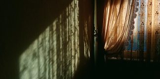 Dönencede Sayhalar: Haziran / 2025