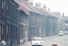 Dönencede Sayhalar: Temmuz / 2025